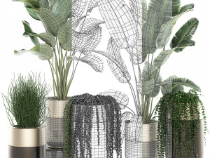 houseplants in a luxury pot for the interior 706 Modelo 3D
