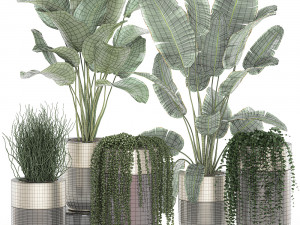 houseplants in a luxury pot for the interior 706 Modelo 3D
