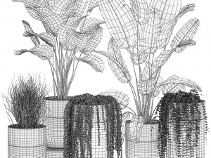 houseplants in a luxury pot for the interior 706 Modelo 3D