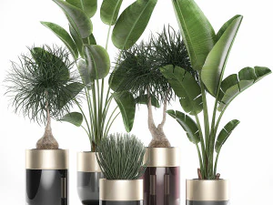 plantas de casa em vaso luxuoso para o interior 707 Modelo 3D