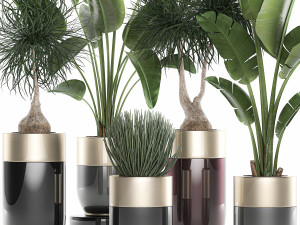 houseplants in a luxury pot for the interior 707 3D-Modell