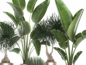 houseplants in a luxury pot for the interior 707 3D-Modell
