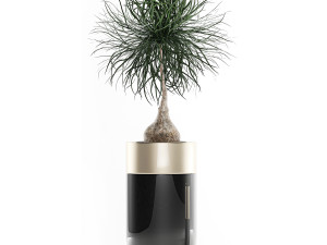 houseplants in a luxury pot for the interior 707 3D-Modell