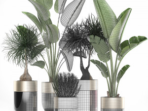 houseplants in a luxury pot for the interior 707 3D-Modell