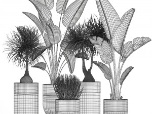 houseplants in a luxury pot for the interior 707 3D-Modell