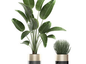 houseplants in a luxury pot for the interior 707 3D-Modell