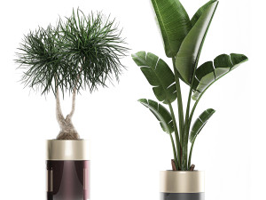 houseplants in a luxury pot for the interior 707 3D-Modell