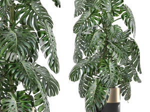 monstera in a pot for the interior 708 3D Model