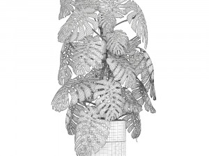 monstera in a pot for the interior 708 Modèle 3D