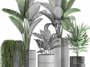 houseplants in a black pot for the interior 709 Modèle 3D