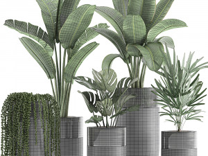 houseplants in a black pot for the interior 709 Modèle 3D