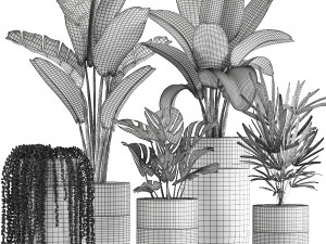houseplants in a black pot for the interior 709 Modèle 3D