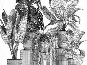 houseplants in a black pot for the interior 710 3D Model