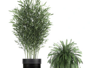 houseplants in a black pot for the interior 711 3D Model