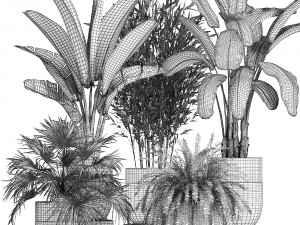 houseplants in a black pot for the interior 711 Modelo 3D