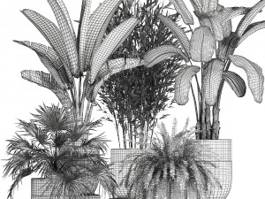 houseplants in a black pot for the interior 711 3D Model