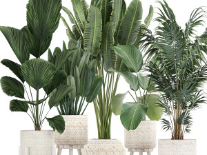 tanaman hias dalam keranjang rotan putih untuk interior 713 Model 3D