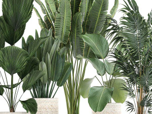 houseplants in a white basket rattan for the interior 713 3D Model