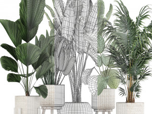 houseplants in a white basket rattan for the interior 713 3D Модель