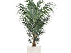 houseplants in a white basket rattan for the interior 713 3D Модель