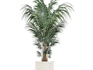 houseplants in a white basket rattan for the interior 713 3D Model