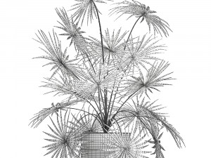 decorative palm in a flowerpot 716 3D-Modell
