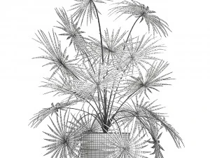 decorative palm in a flowerpot 716 3D Model