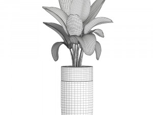 decorative banana palm in flower pots for the interior 718 3D Model
