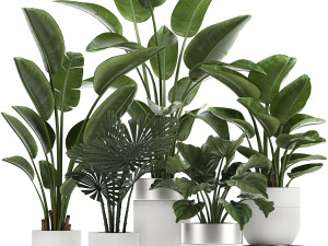 houseplants in a white pot for the interior 721 3D Model