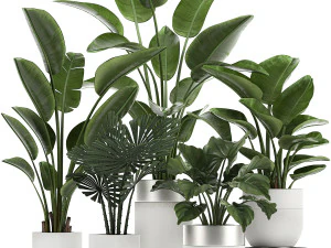 i&ccedil; mekan i&ccedil;in beyaz bir tencerede ev bitkileri 721 3D Model