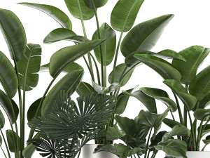 houseplants in a white pot for the interior 721 Modello 3D