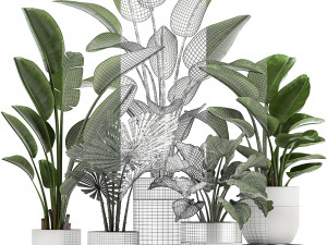 houseplants in a white pot for the interior 721 Modello 3D