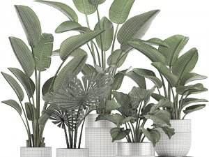 houseplants in a white pot for the interior 721 Modello 3D