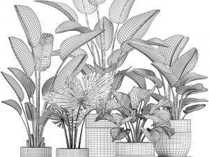 houseplants in a white pot for the interior 721 Modello 3D