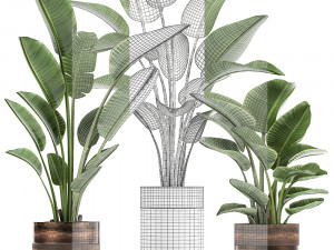 houseplants in a pot for the interior 722 Modèle 3D