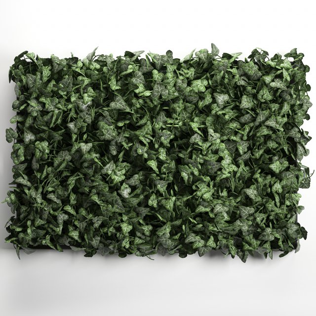 phytowall hedera 61 3Dモデル .c4d .max .obj .3ds .fbx .stl .blend 