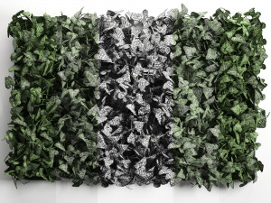 phytowall hedera 61 3Dモデル