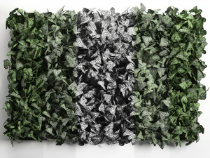 phytowall hedera 61 3D Model