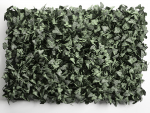 phytowall hedera 61 3Dモデル