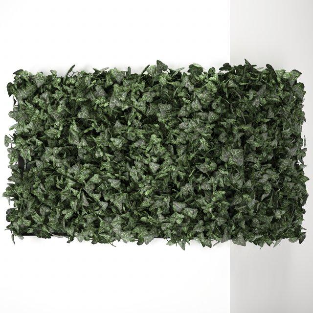 hedera phytowall for corner 62 Model 3D .c4d .max .obj .3ds .fbx .stl .blend 
