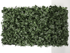 hedera phytowall for corner 62 3D Model