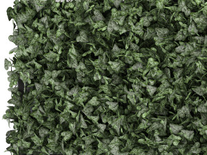 hedera phytowall for corner 62 Model 3D