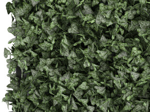hedera phytowall for corner 62 Model 3D
