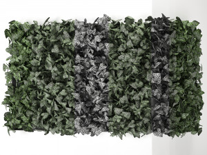 hedera phytowall for corner 62 Model 3D