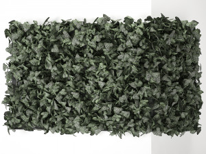 hedera phytowall for corner 62 Model 3D