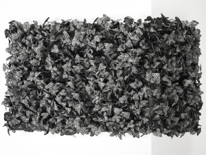 hedera phytowall for corner 62 Model 3D