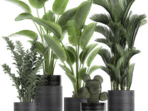 houseplants in a pot for the interior 724 3D Model