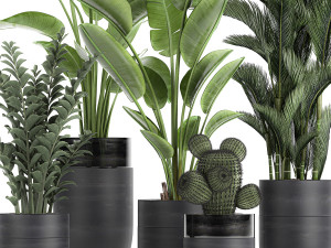 houseplants in a pot for the interior 724 3D Model