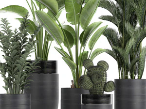 houseplants in a pot for the interior 724 3D Model