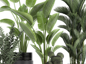 houseplants in a pot for the interior 724 3D Model